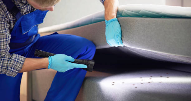 Best Pest Removal Services  in East Merrimack, NH